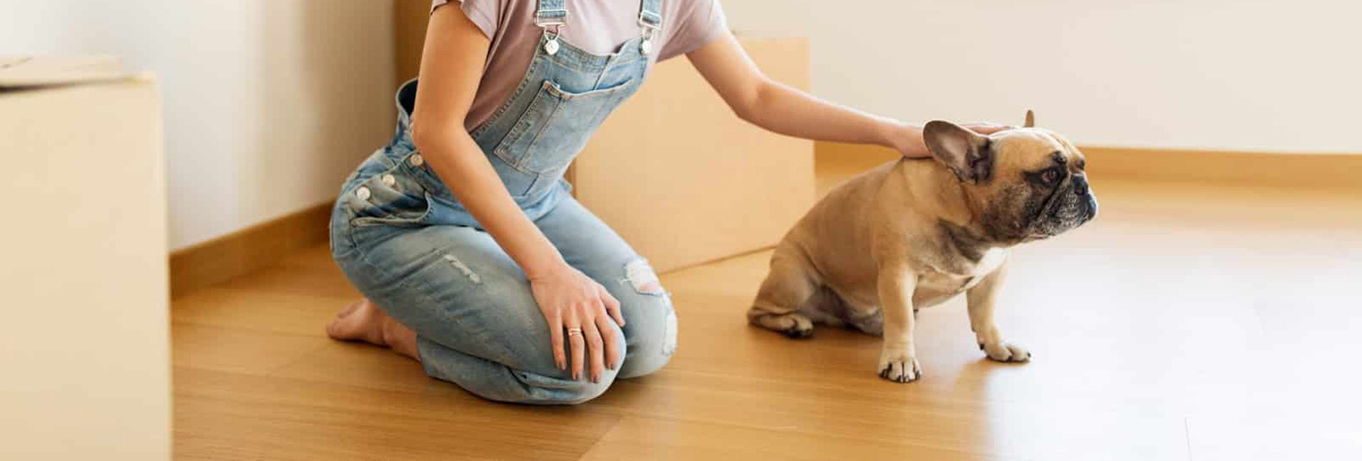 Stěhování domácností